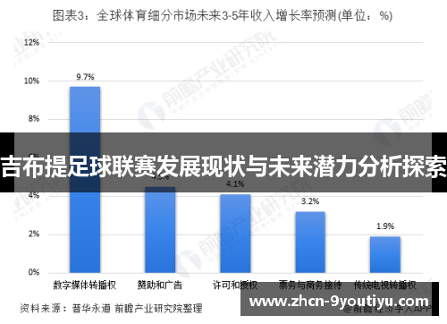 吉布提足球联赛发展现状与未来潜力分析探索