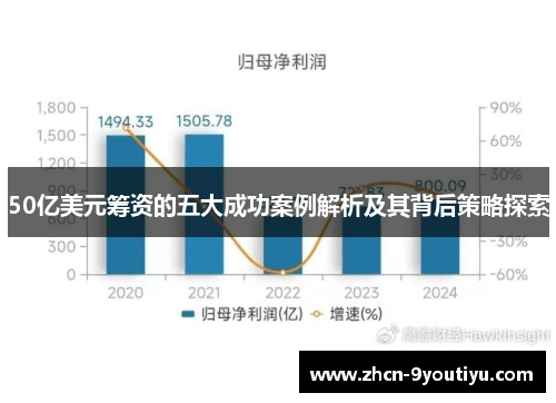 50亿美元筹资的五大成功案例解析及其背后策略探索